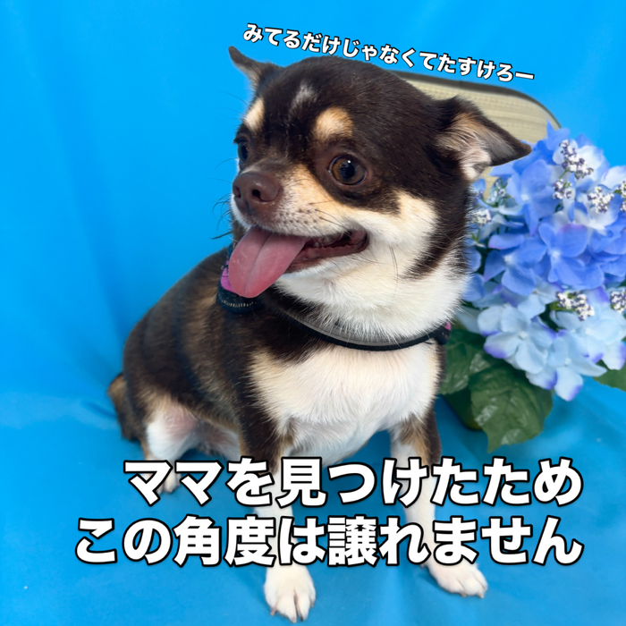 画像3429