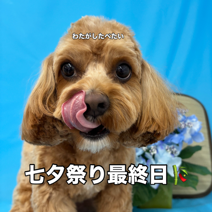 画像3434