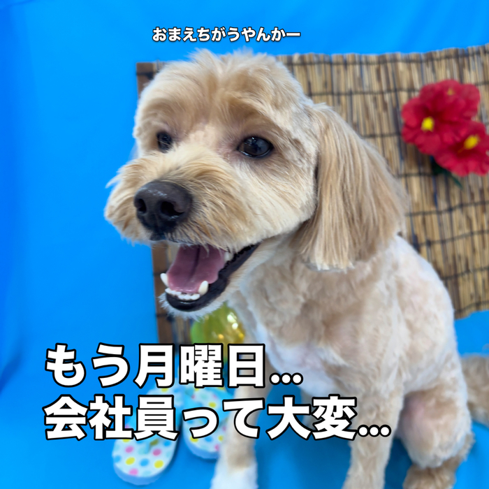 画像3440