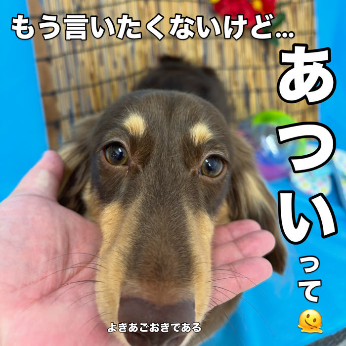画像3446