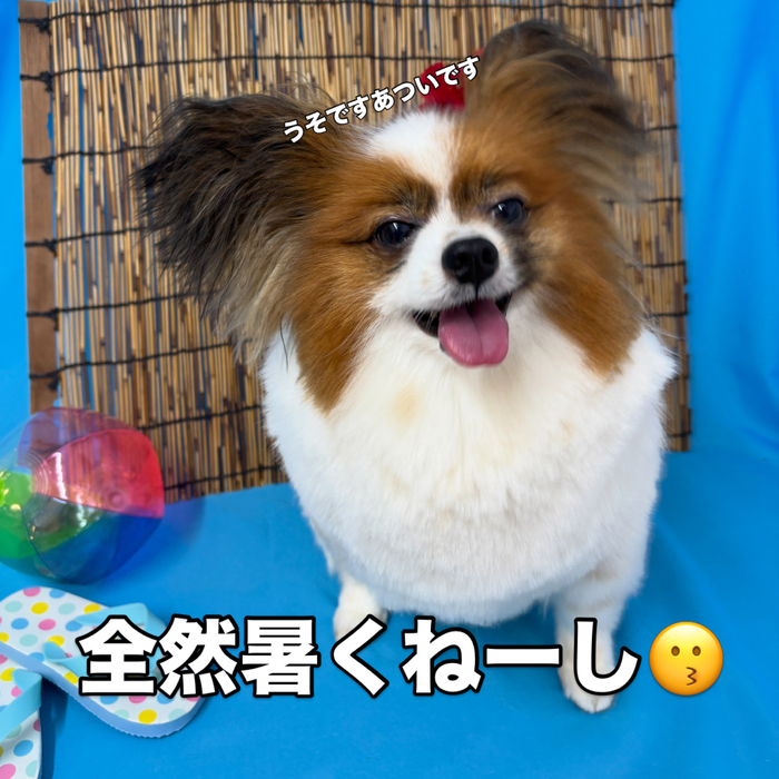 画像3453