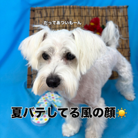画像3461