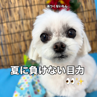 画像3473