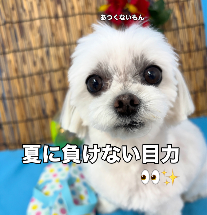 画像3473