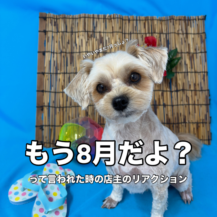 画像3486