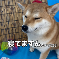 画像3492