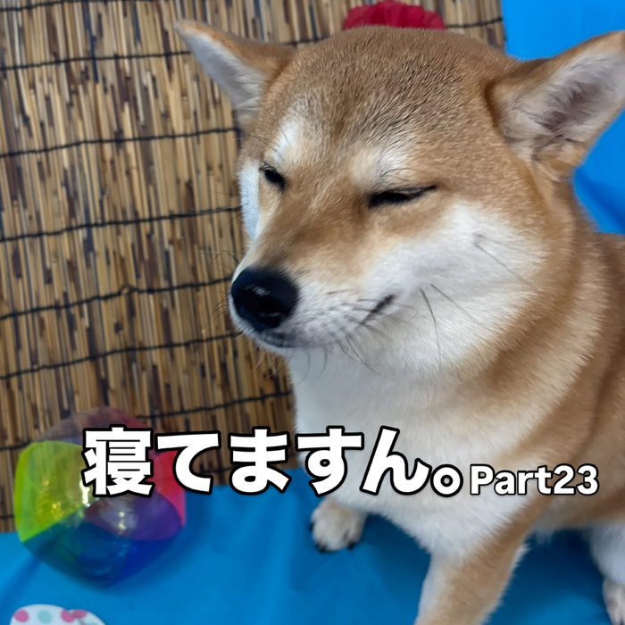 画像3492