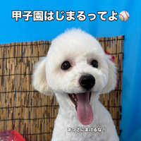 画像3499