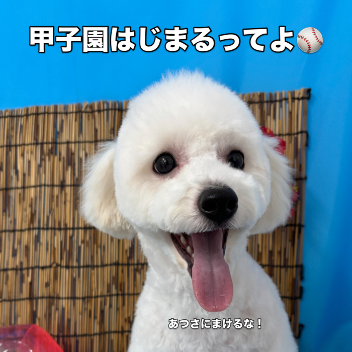 画像3499