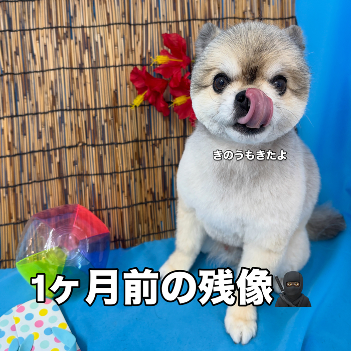画像3522