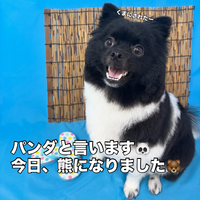 画像3528