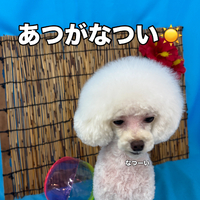 画像3534