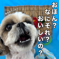 画像3540