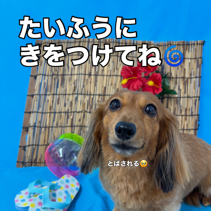 画像3546