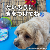 画像3552
