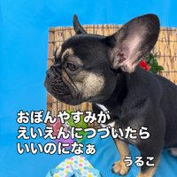 画像3559