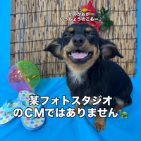 画像3564