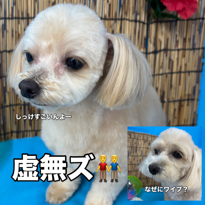 画像3570
