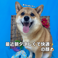 画像3585