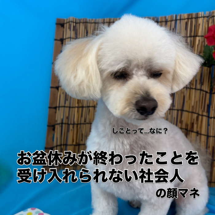 画像3590