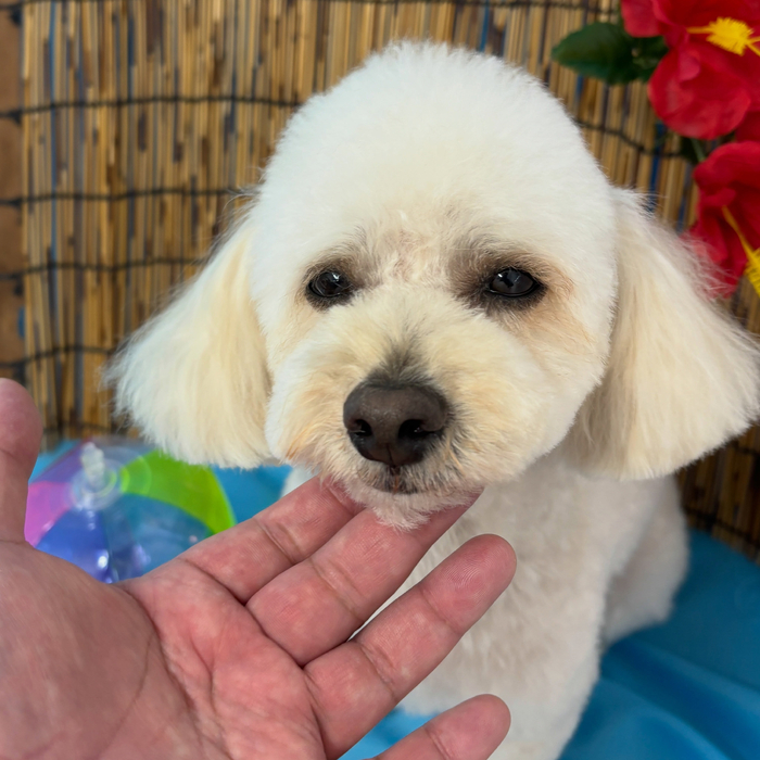 画像3594