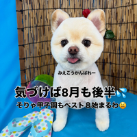 画像3597