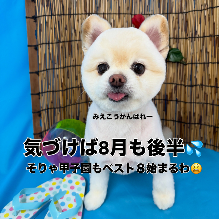 画像3597