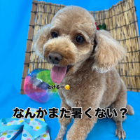 画像3608