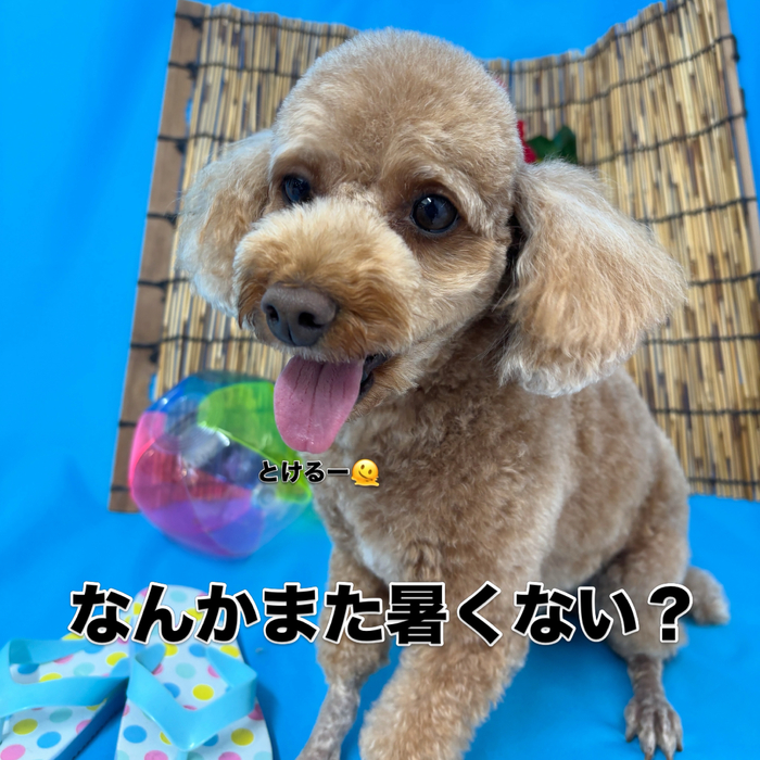 画像3608