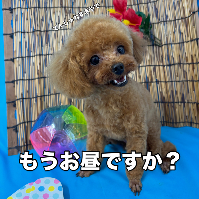 画像3613