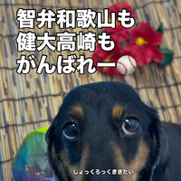 画像3619