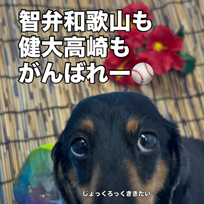 画像3619