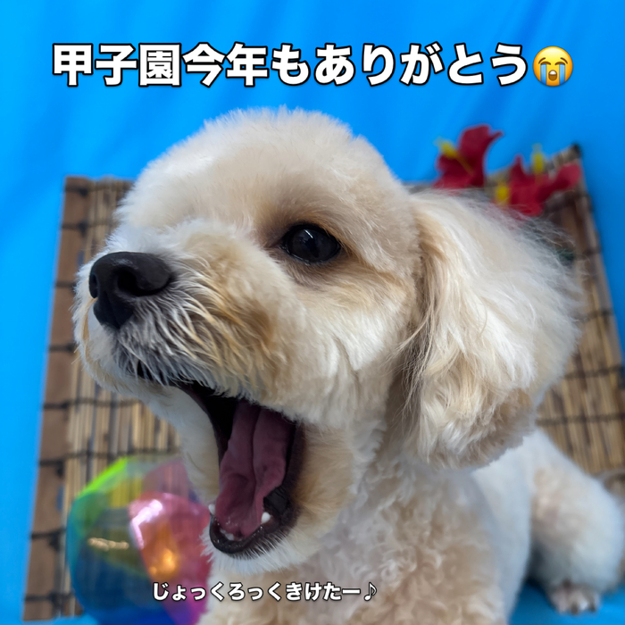 画像3624