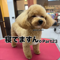 画像3640