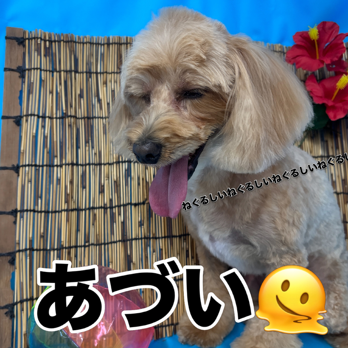 画像3645