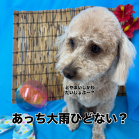 画像3651