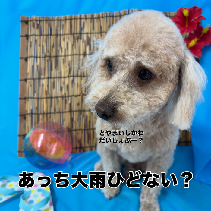 画像3651