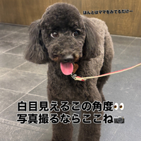 画像3662