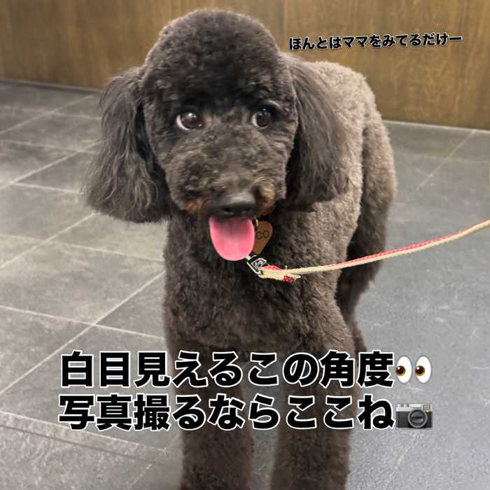 画像3662