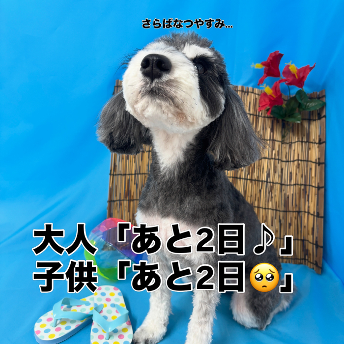 画像3666