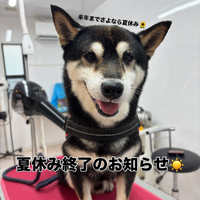 画像3671
