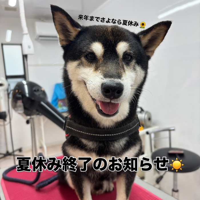 画像3671