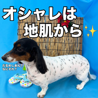 画像3687