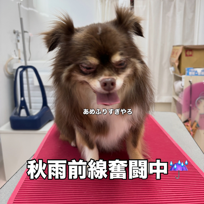画像3693