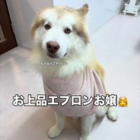 画像3705