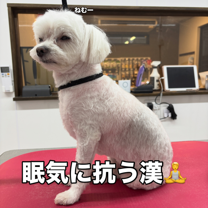 画像3718