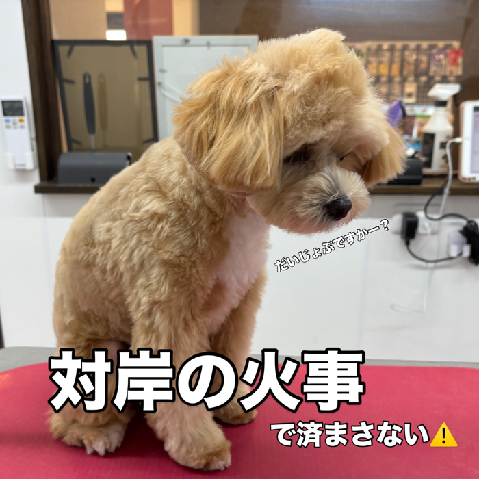 画像3724