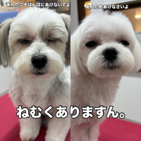 画像3730
