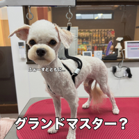 画像3738