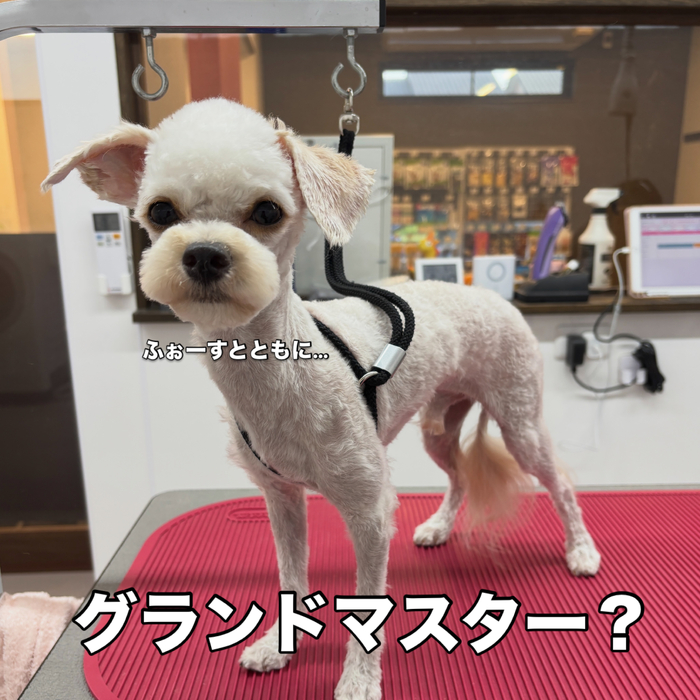 画像3738